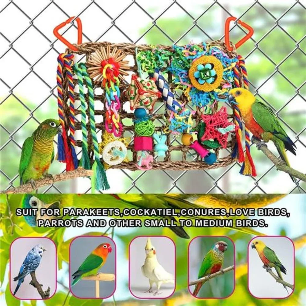 Bird Toys Bird Foraging Toys for Parakeets Cockatiel Conures Lovebirds Foraging